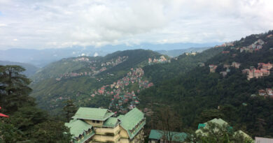 Residential Property for Sale in Shimla